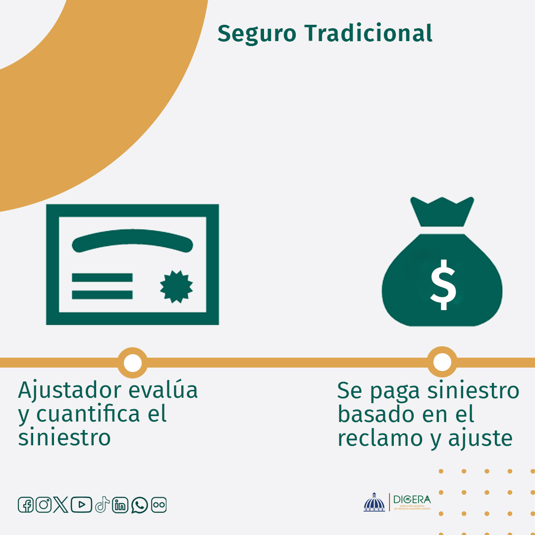 digera_rd's tweet image. 𝘗𝘋:𝘐𝘯𝘧𝘰𝘨𝘳𝘢𝘧𝘪𝘢𝘴 𝘦 𝘪𝘯𝘧𝘰𝘳𝘮𝘢𝘤𝘪ó𝘯,𝘧𝘢𝘤𝘪𝘭𝘪𝘵𝘢𝘥𝘰 𝘱𝘰𝘳 𝘌𝘭𝘢𝘪𝘯𝘢 𝘋í𝘢𝘻 ,𝘥𝘦𝘯𝘵𝘳𝘰 𝘥𝘦 𝘴𝘶 𝘱𝘰𝘯𝘦𝘯𝘤𝘪𝘢 𝘦𝘯 𝘦𝘭 𝘋𝘪𝘱𝘭𝘰𝘮𝘢𝘥𝘰 𝘦𝘯 𝘚𝘦𝘨𝘶𝘳𝘰 𝘈𝘨𝘳𝘰𝘱𝘦𝘤𝘶𝘢𝘳𝘪𝘰 𝘗𝘢𝘳𝘢𝘮é𝘵𝘳𝘪𝘤𝘰

#DIGERA #SeguroAgropecuario #Parametrico