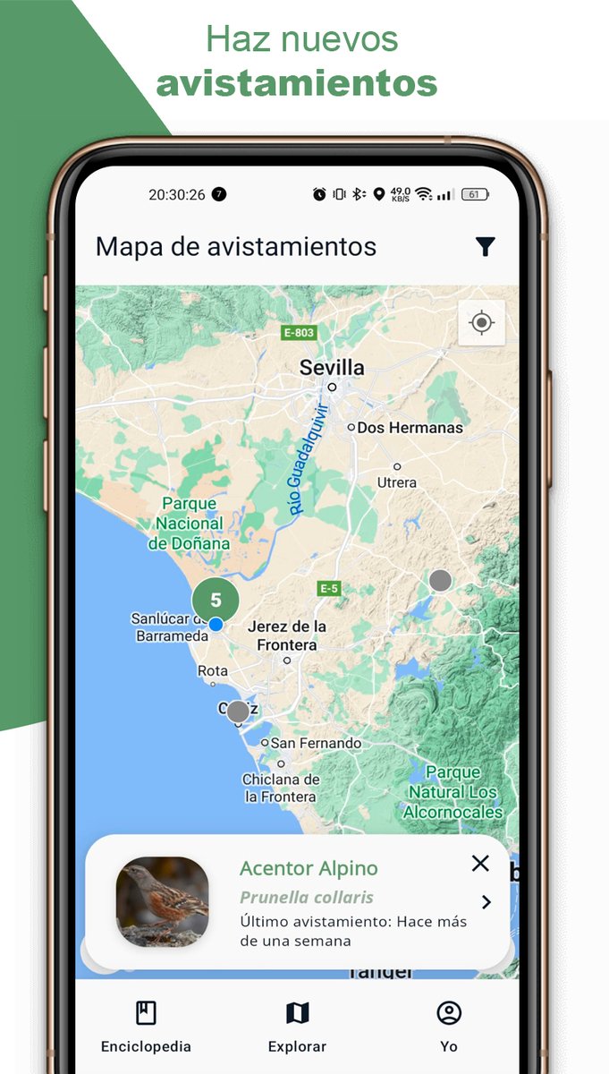 josemaxp's tweet photo. ¡Hola! He lanzado la versión Alpha en Android de BirdPedy, una app para los amantes de la ornitología en Españita🐦

Estoy buscando testers que quieran unirse a probarla y ayudarme a darle forma.

Si te Interesa -> MD 📲

#Birdwatching https://t.co/Hd9UGorjrV