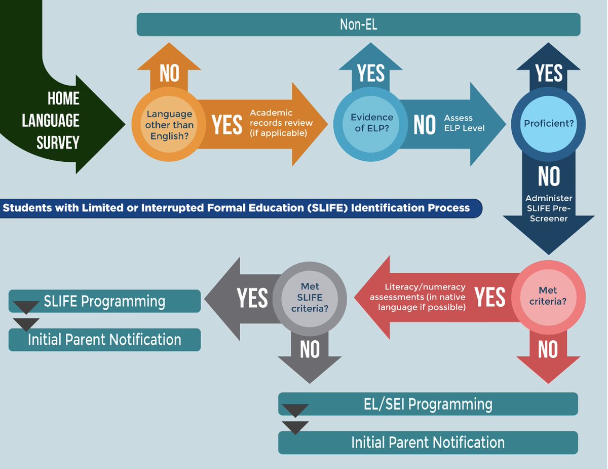 Work with SLIFEs?!? 🤔⁉️
Students with Limited or Interrupted Formal Education (SLIFE) DO NOT need fixing — SLIFEs need intentional support, strategic intervention, consistency in teaching methods, and more.

Today, I found THE MOST amazing resource to help me serve my SLIFEs in