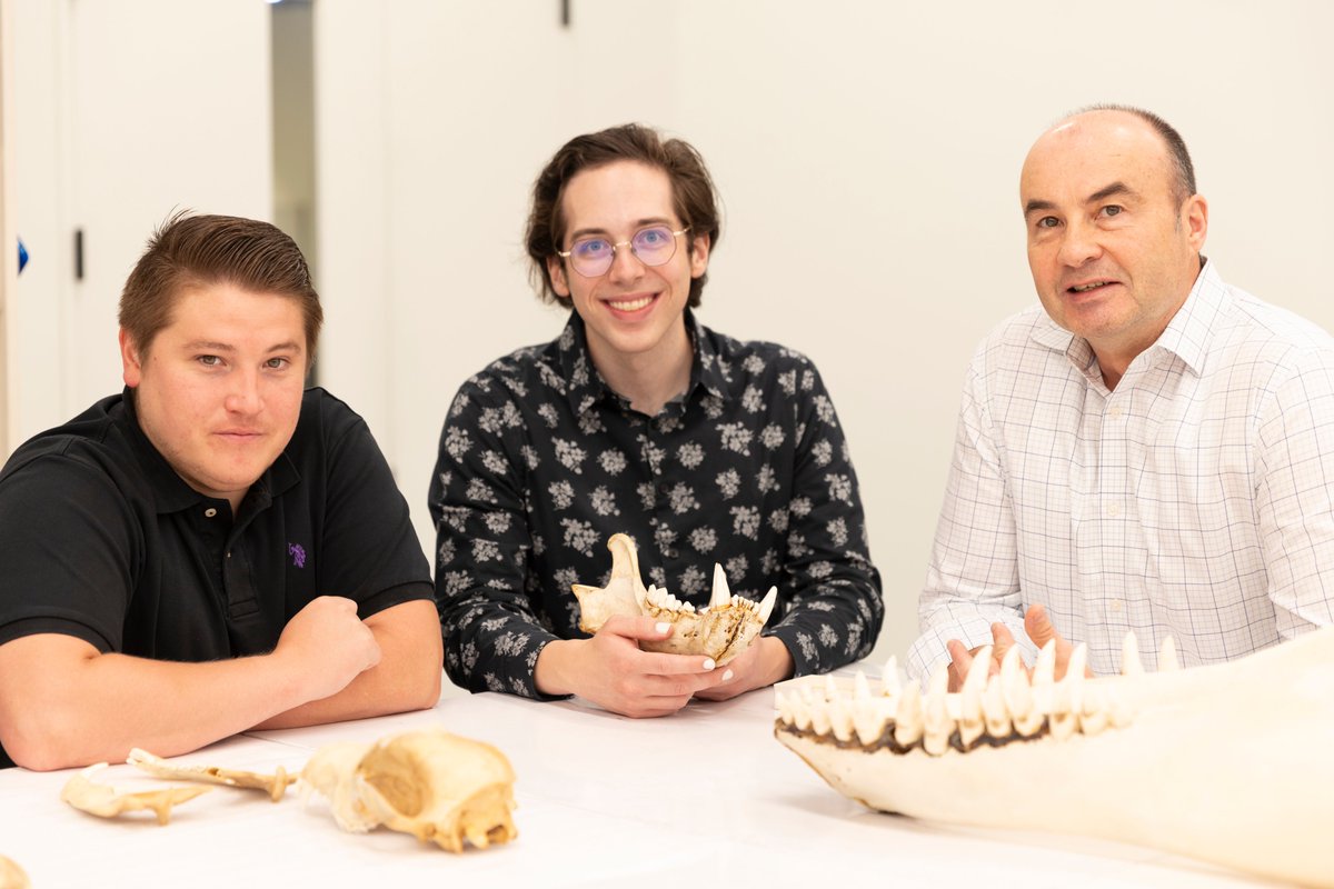 Enamel is one of the most resilient materials found in nature. MSE's Dwayne Arola and team hope to mimic its microscopic woven patterns to create new, fracture-resistant materials.🦷Read more: bit.ly/4cCeZby