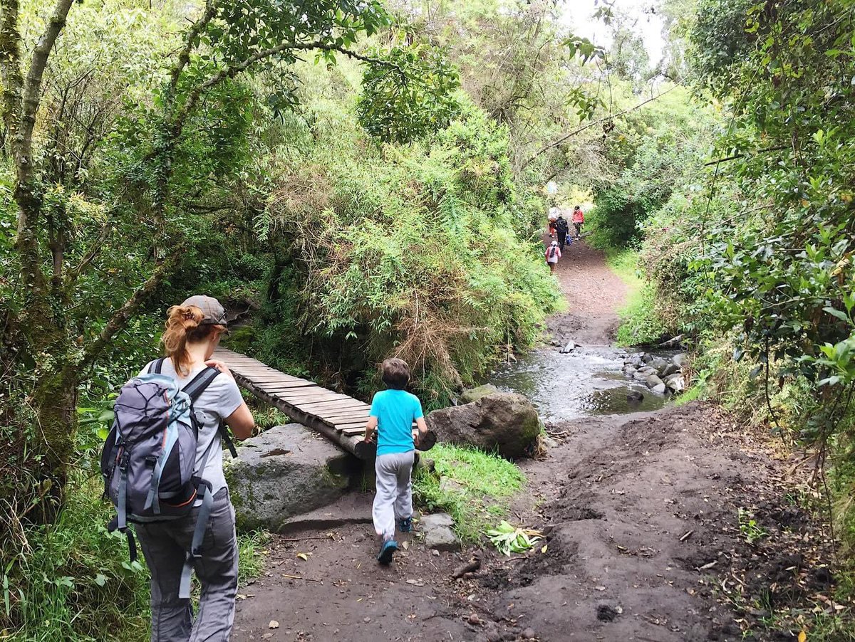 OriginalEcuador's tweet photo. Discover the magic of the Condor Machay waterfall in Ecuador! 🌿💦 A paradise hidden in Cotopaxi Province, where the water falls with force and nature envelopes you in its splendor. 

#CondorMachay #CotopaxiProvince #Waterfalls #EcuadorWaterfalls #OriginalEcuador #EcuadorTourism https://t.co/CueuvEVp7K