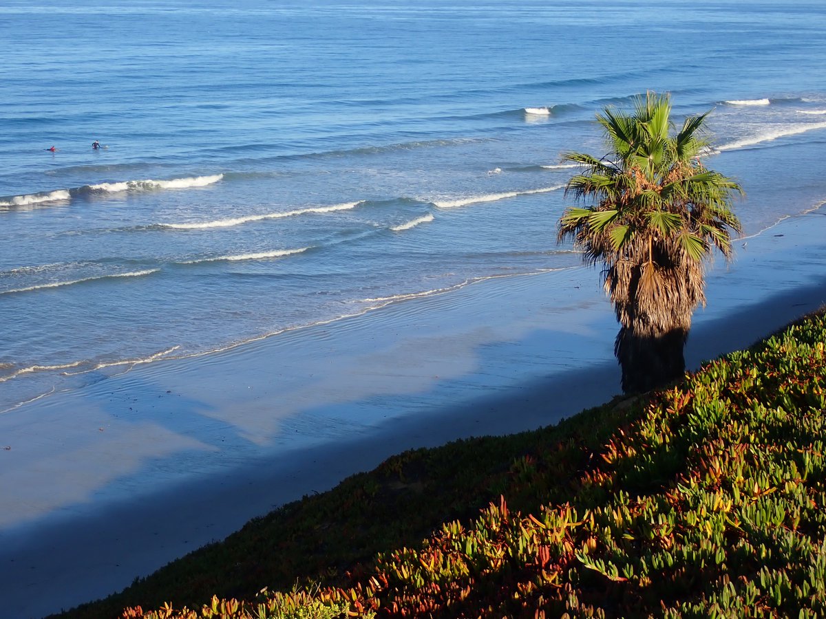 Ken Budd tweet media