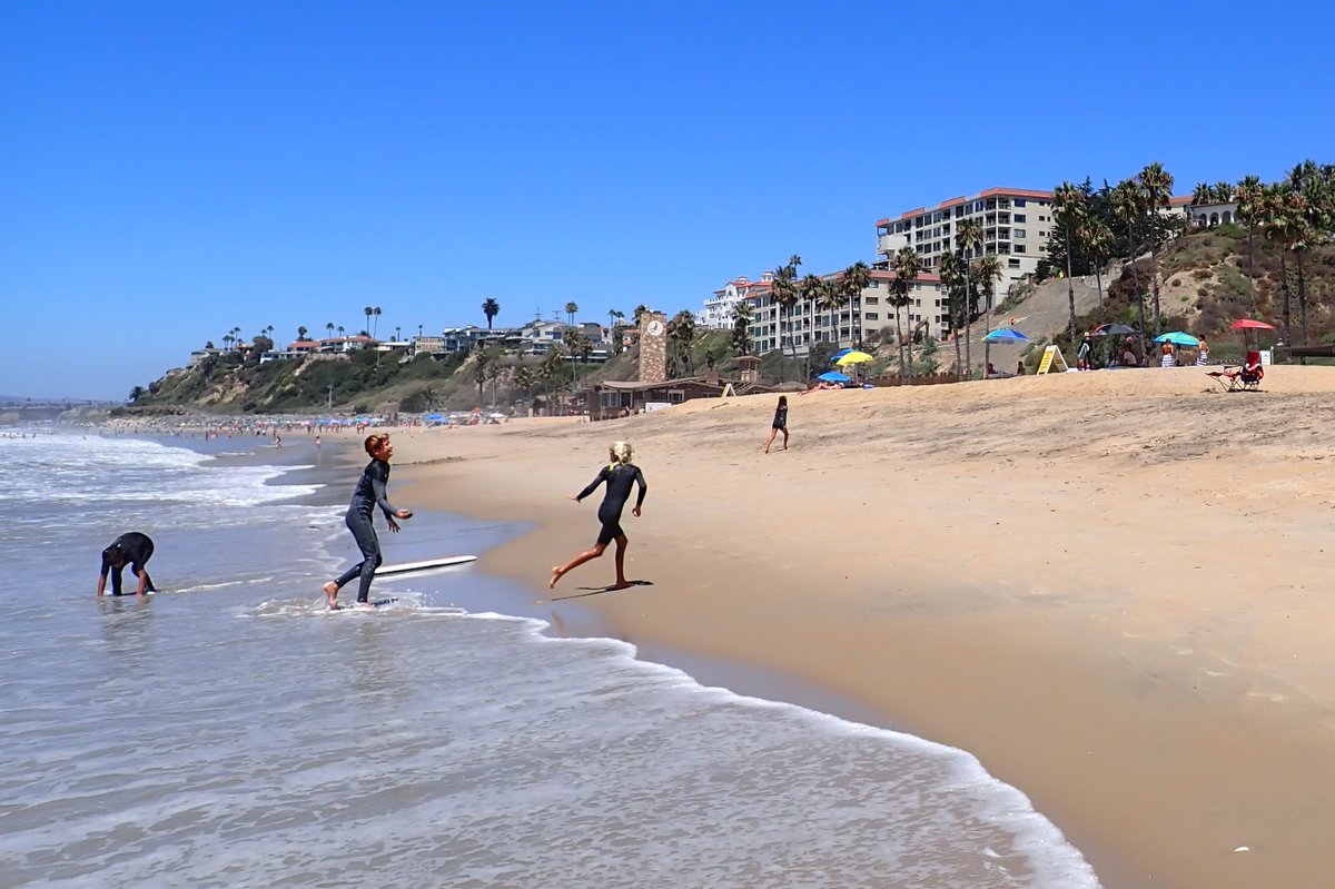 Ken Budd tweet media