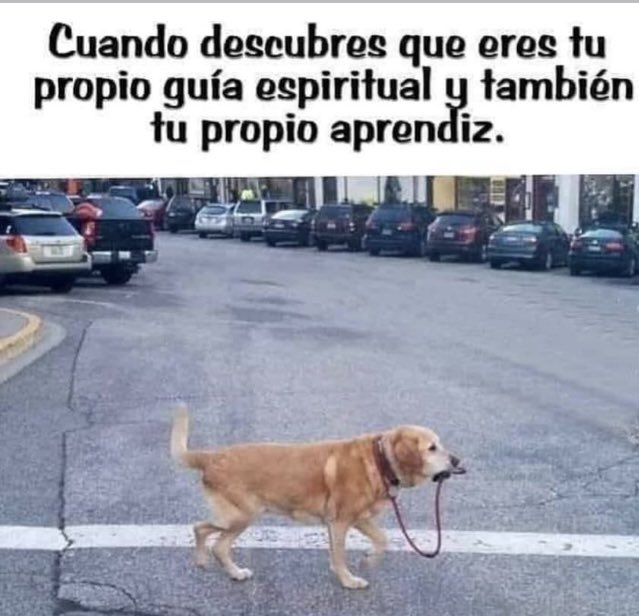 javierdlh's tweet image. #$Rcade #DiaDelBombero #ClubPoderoso