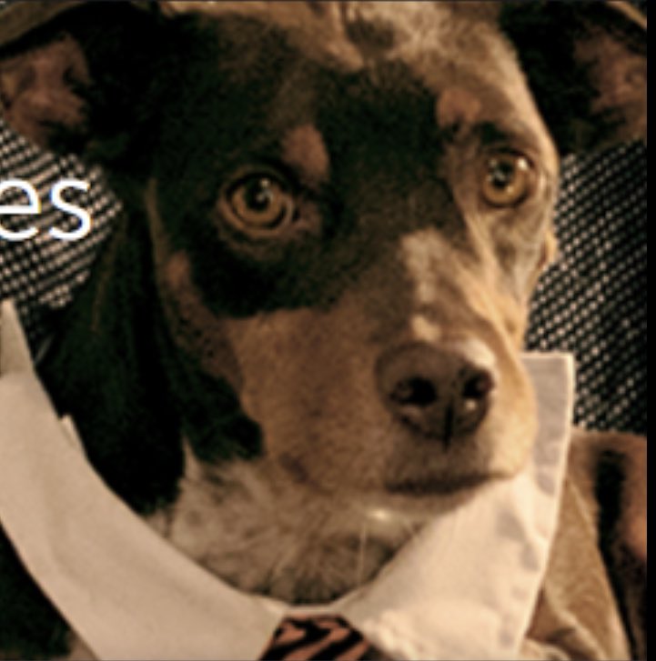 FEARZINE tweet media