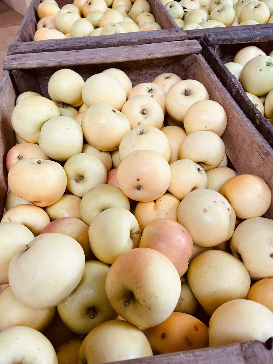 BotTrubuil's tweet photo. #Williams 🍐 présent!
#Lafayette 🍏 présent!
#Delcorf 🍎 présent! https://t.co/PK9RDPFGvn