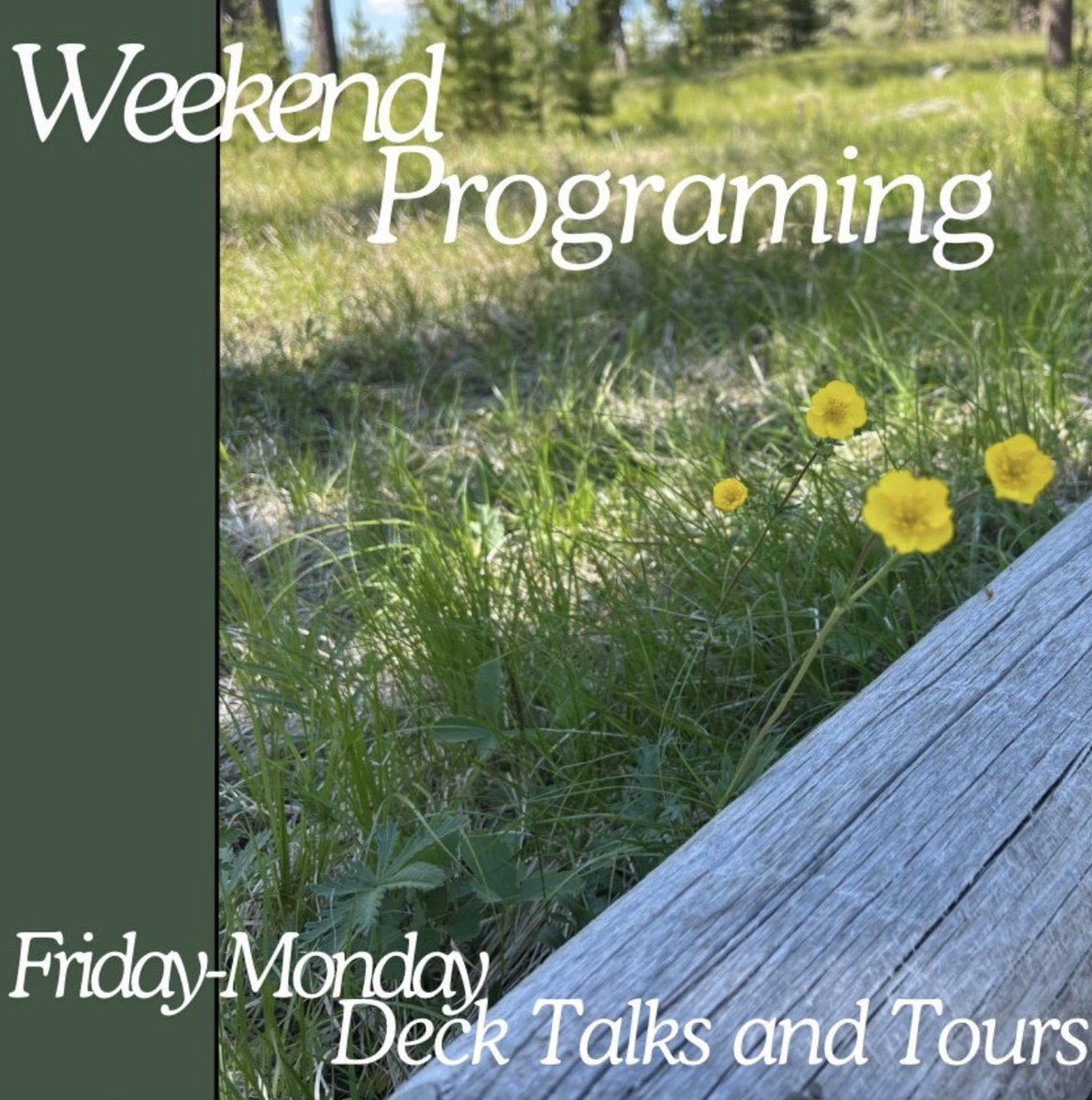 Head over to Big Hole National Battlefield this weekend, Friday-Monday, for our Weekend Programing! We'll be having our 30 minute talks at 11AM and 1:30PM with our 1.5 hour tour at 10:30AM. Hope to see you there! #nps #bigholenationalbattlefield #NezPerce #montanahistory