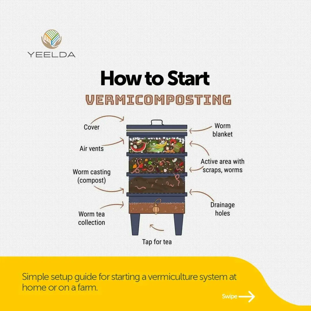 yeelda_africa's tweet image. Discover the benefits of vermiculture and how worms can help turn organic waste into valuable compost. 

Join the movement for healthier soil and more sustainable farming practices. 🪴🌳

 #YEELDA #Africa #Vermiculture #Soilhealth  #FutureFarming  
#Radomfacts