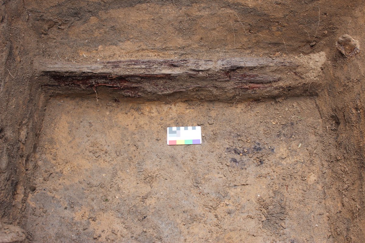 Borders Heritage tweet media