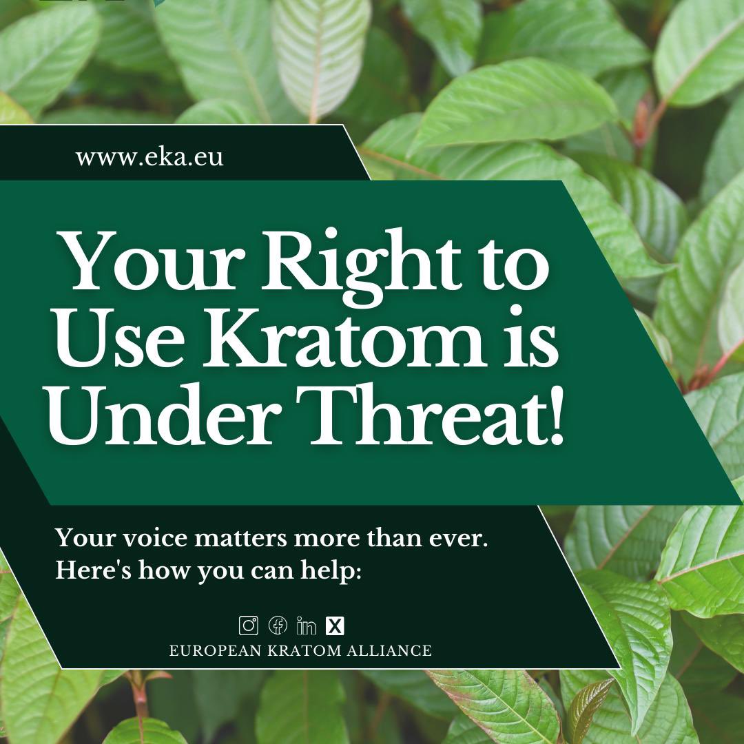 EuropeanKratom's tweet photo. 📣We need your voice! 📣

Losing Germany would be a severe setback for kratom usage across the continent.

1. Sign the Petition to protect kratom in Europe.
2. Share Your Story by participating in our survey.
3. Repost this post so we reach as many people as possible. #KratomEU https://t.co/zxq2Ucm7gM