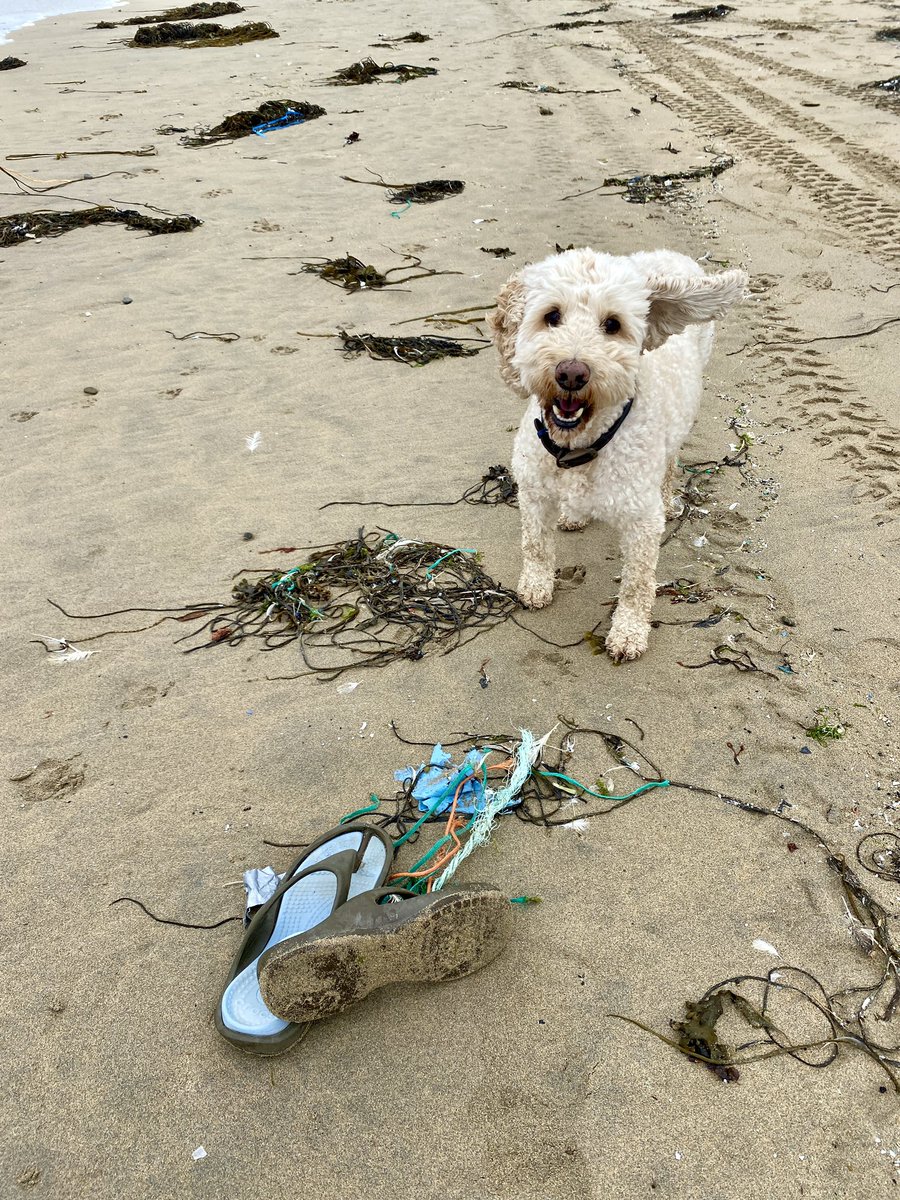 CornishSpliced's tweet image. Our #StrangestFinds entry for our #RubbishGame. 

Lots of ghost gear picked up, watch this space for some Cornish Spliced  magic 🪄 
We will be back as so much to pick up. 

CornishSpliced.co.uk
