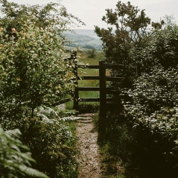 — magic is everywhere