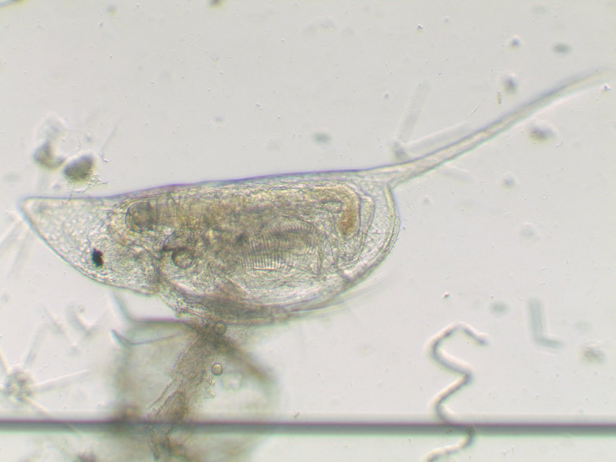 Anna Schmidt tweet media