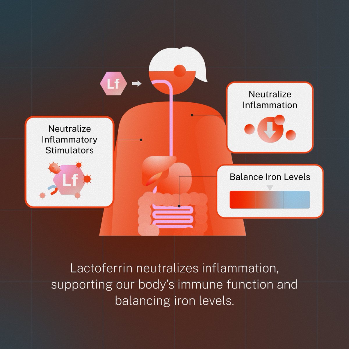 TurtleTree_'s tweet image. Your #ImmuneSystem is extremely important.

We believe #lactoferrin is the next key to taking care of it!

Lactoferrin is packed with multiple health benefits - it is one of the most powerful functional ingredients today!

Just a small serving makes a huge impact - click through…