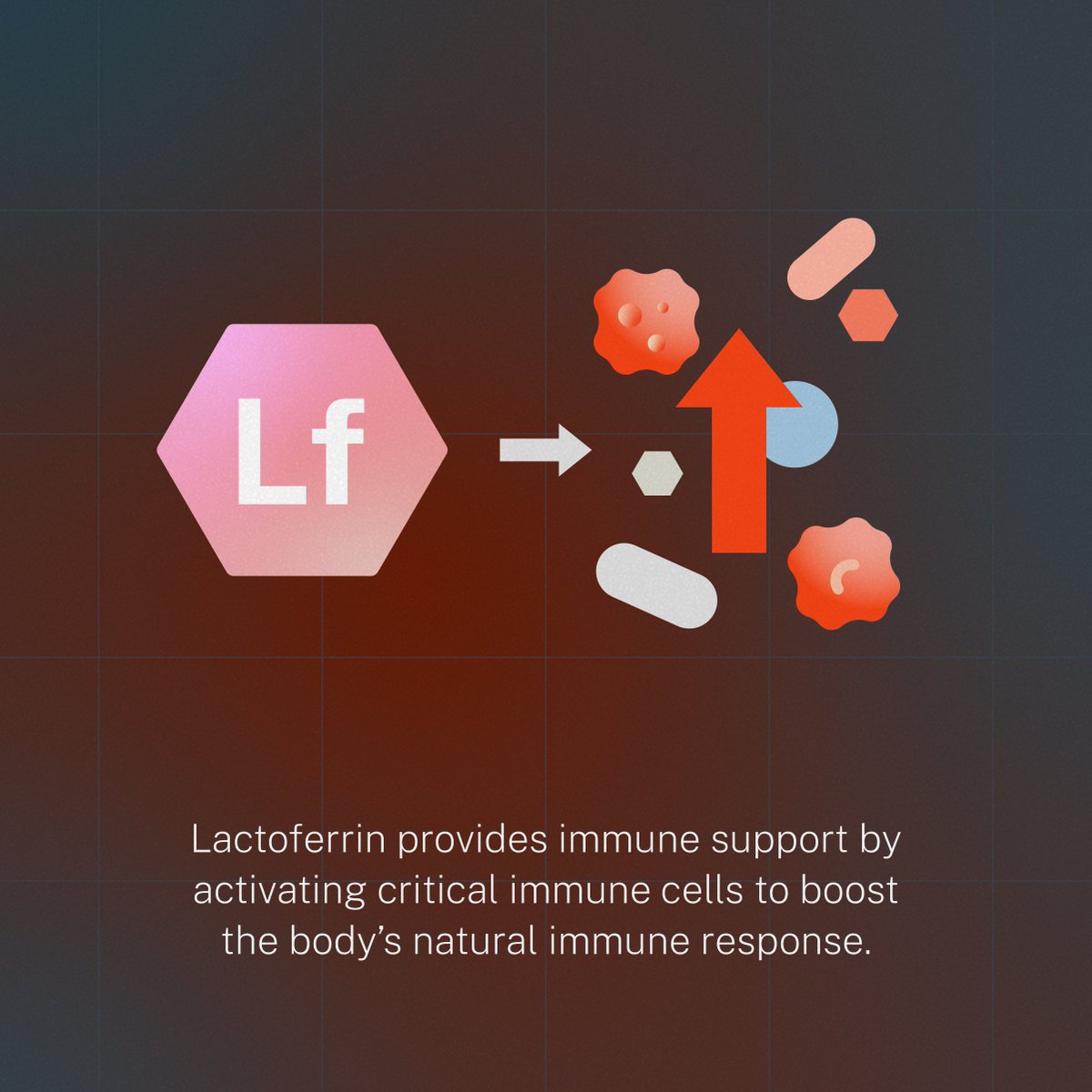 TurtleTree_'s tweet image. Your #ImmuneSystem is extremely important.

We believe #lactoferrin is the next key to taking care of it!

Lactoferrin is packed with multiple health benefits - it is one of the most powerful functional ingredients today!

Just a small serving makes a huge impact - click through…