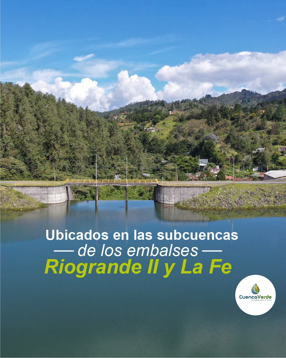 CuencaVerde tweet media