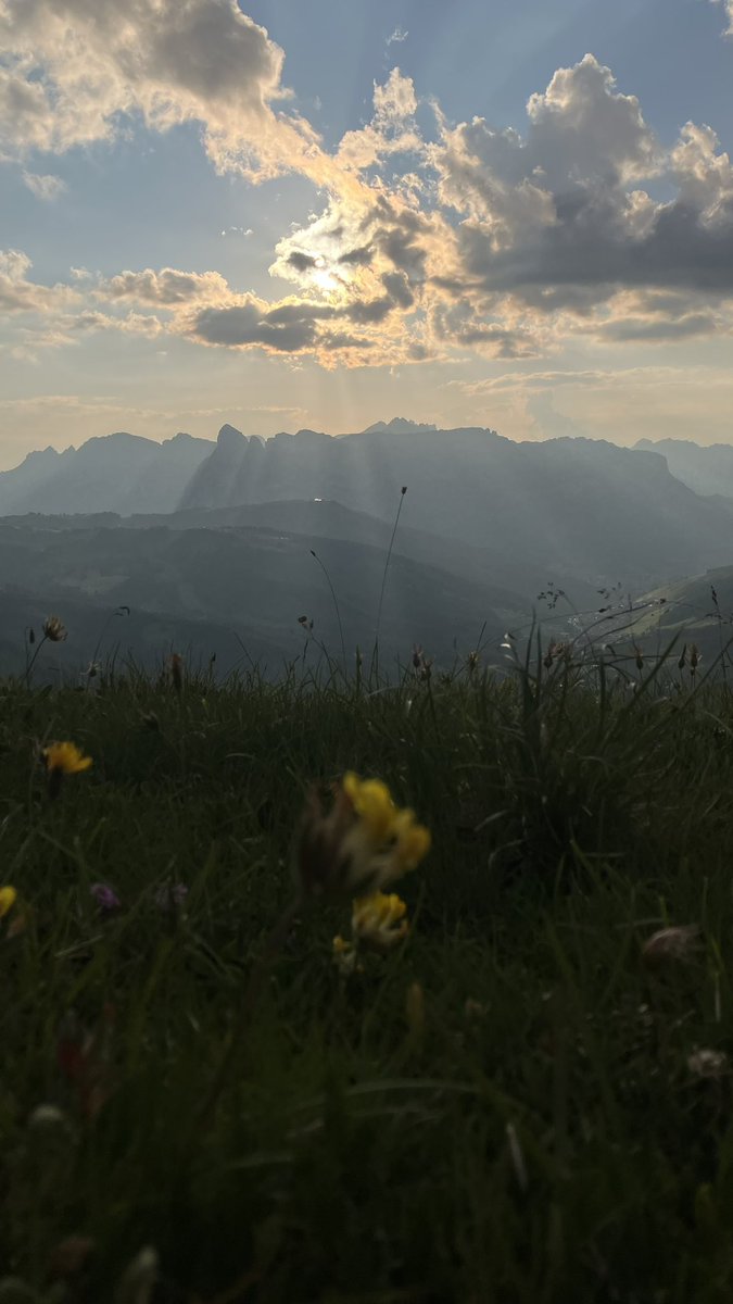 holimites tweet media