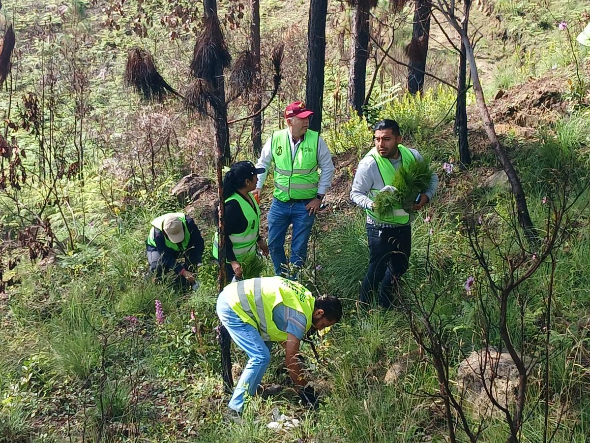 Capaseg_CS's tweet photo. Se continuará impulsando esta acciones para colaborar con la restauración de los recursos naturales, así como la revisión de aspectos relacionados con el abasto del agua, tanto en la localidad como mejorar el abastecimiento para la ciudad de #Chilpancingo. https://t.co/Gj3JtUauT1