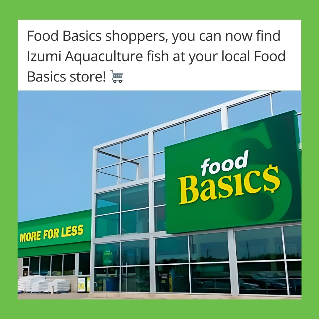 We're so excited for <a href="/FoodBasicsCA/">Food Basics</a>  shoppers to get their hands on our rainbow trout! 🐟 🔎 Look for the Rock Harbour Seafood label 😎