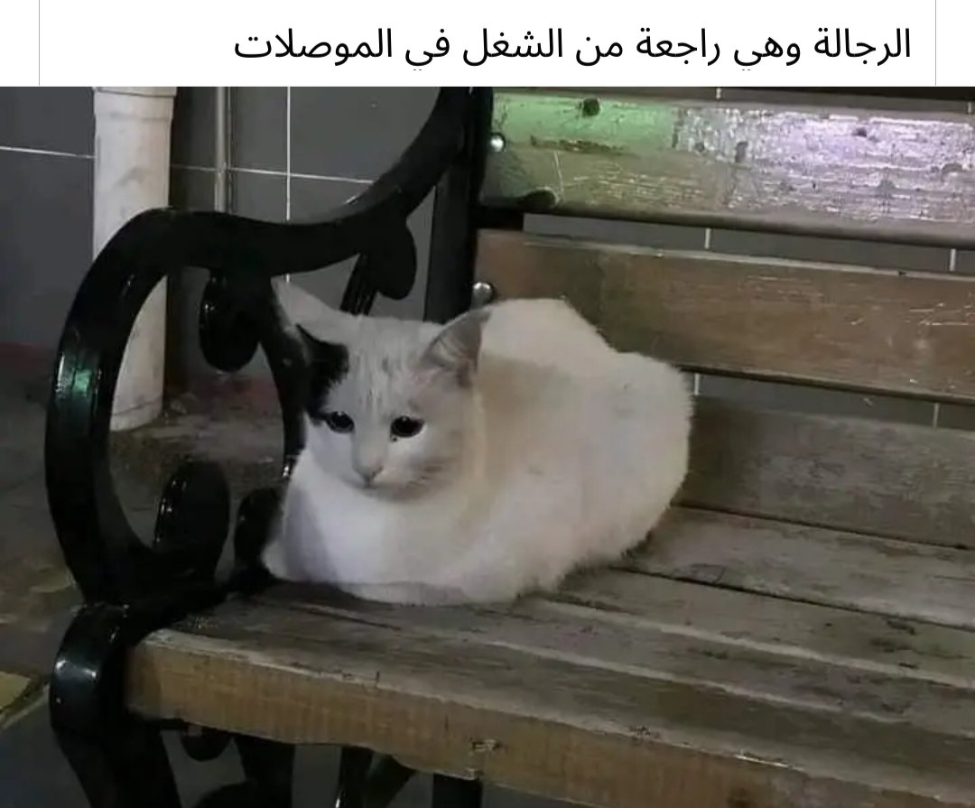 mustafa7amdyyy's tweet photo. و الله لم يمثلني شئ في الأنترنت كهذه. https://t.co/yPDadPUN3Q