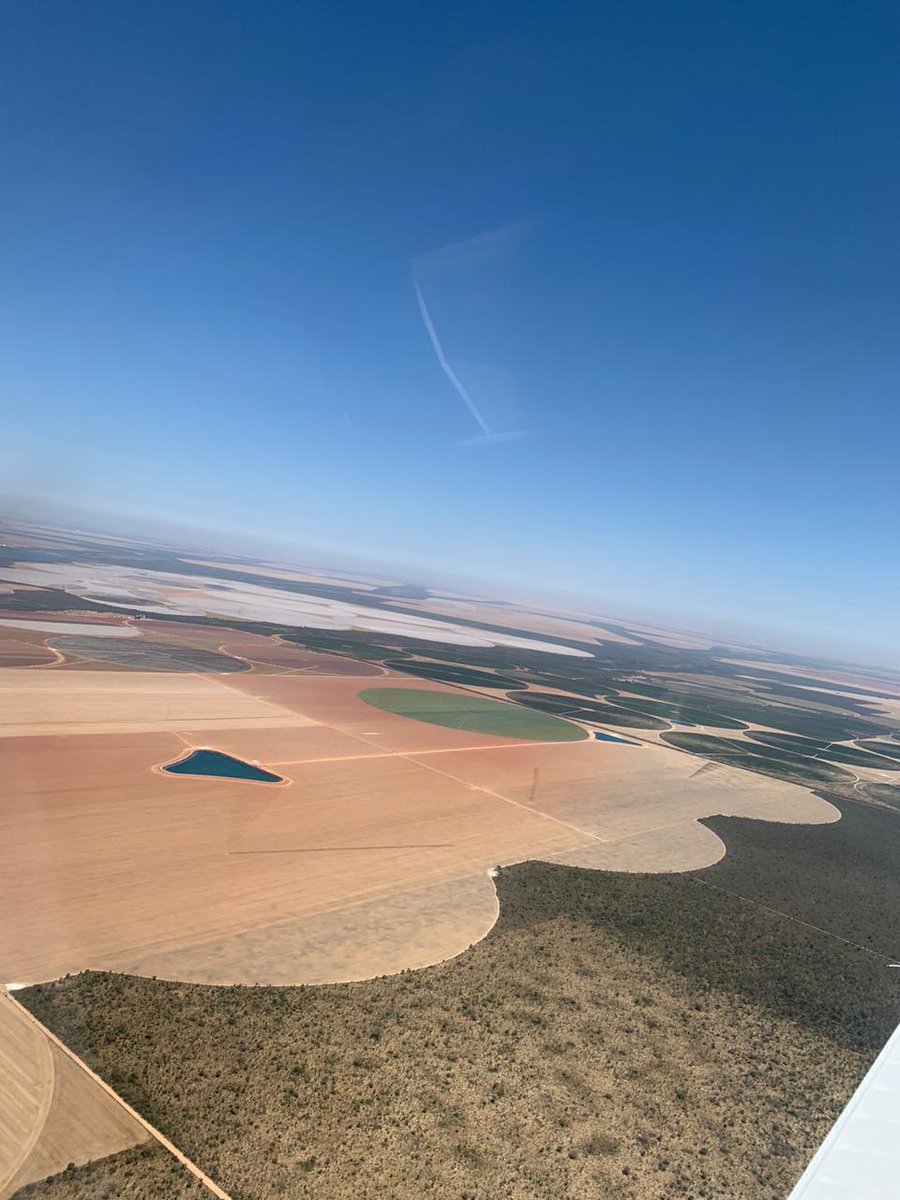 cadofaganello's tweet photo. Ribeiro Gonçalves, Piauí.
Região piauiense do Matopiba.
#OAgroNãoPara #Agro #Matopiba #Algodão https://t.co/FuoTWGcYrW