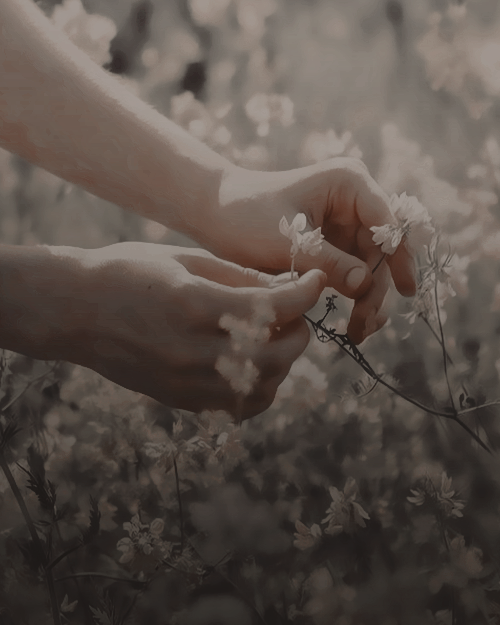 ⸻𝐒𝐄 𝐁𝐔𝐒𝐂𝐀: 

𝐋𝐔𝐍𝐀 𝐋𝐎𝐕𝐄𝐆𝐎𝐎𝐃.

⭑ Después de la Segunda Guerra Mágica.
⭑ Directora de 𝑬𝒍 𝑸𝒖𝒊𝒔𝒒𝒖𝒊𝒍𝒍𝒐𝒔𝒐.
⭑ Su don y familiaridad con lo extraño la han llevado a ser asesora de la División de Espíritus en el Ministerio de Magia.

Más info en MD.