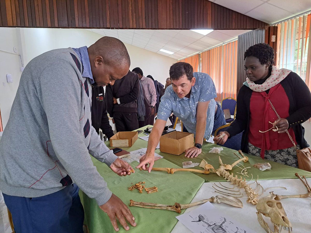 Wildlife Research & Training Institute tweet media