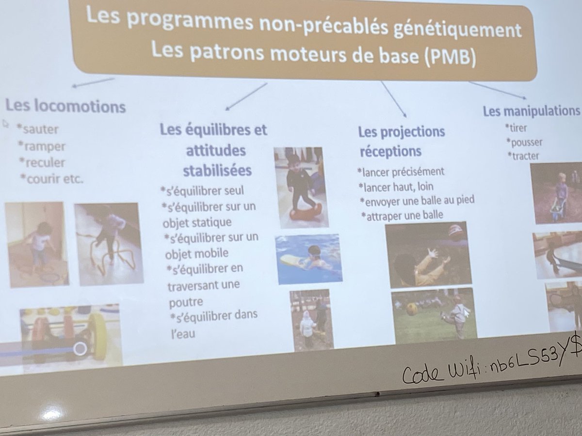 AgeemAcTlse's tweet photo. Merci @BarrauSteph pour #FormAction sur dvlpt psychomoteur et equilibration à #maternelle @delsahutFabrice lors du stage @CrusepO ! @camus_carole AGEEM11 et Celine Cantagrel AGEEM 82 @AgeemAcTlse ont mis les stagiaires en actions motrices et présenté les actions @AGEEM_National https://t.co/hBFoYU8pMF