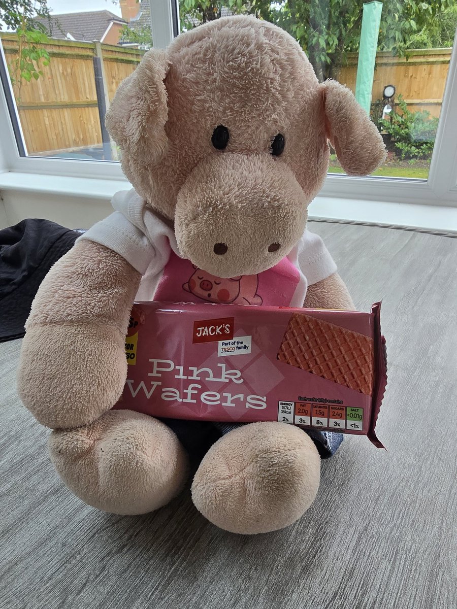 Peragwin1's tweet image. Girl hoom got me some pink wafers cos she's a grown up and they matched my piggie fur. 🥰