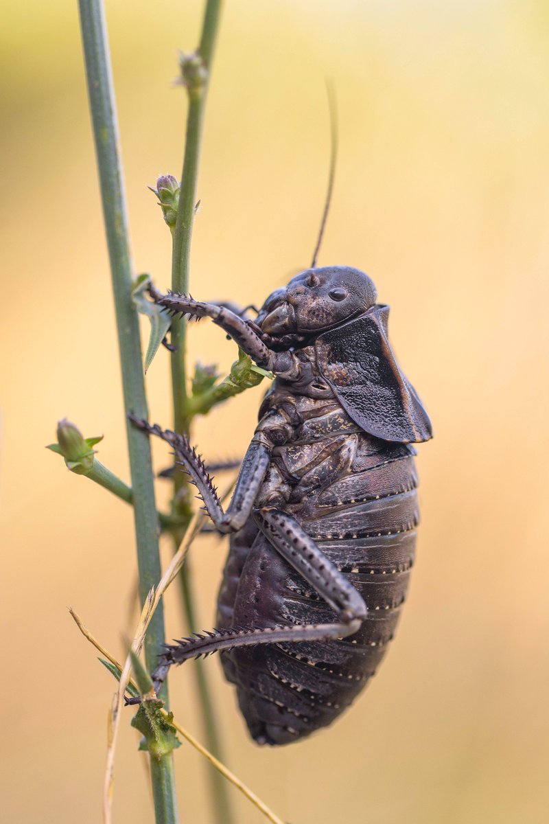 Alex Perry tweet media