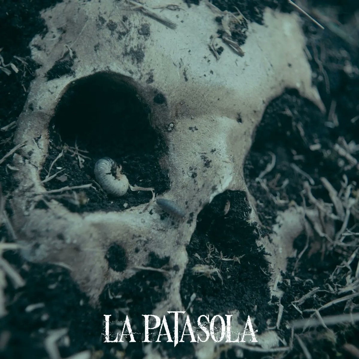 trompeteroprodu's tweet photo. La traición enloquece a cualquiera 💀
A LOS INFIELES SE LOS LLEVA #LaPatasola 🔪🩸

Protagonizada por @RobinsonDiazU @RAMIROMENESES Valentina Contreras, @waltherluengas 

Dirigida por @trompetero y @paulcatanotoro

PRÓXIMAMENTE SOLO EN CINES 🎬

#thriller #terrormovies #horror https://t.co/iOXj1uqf01