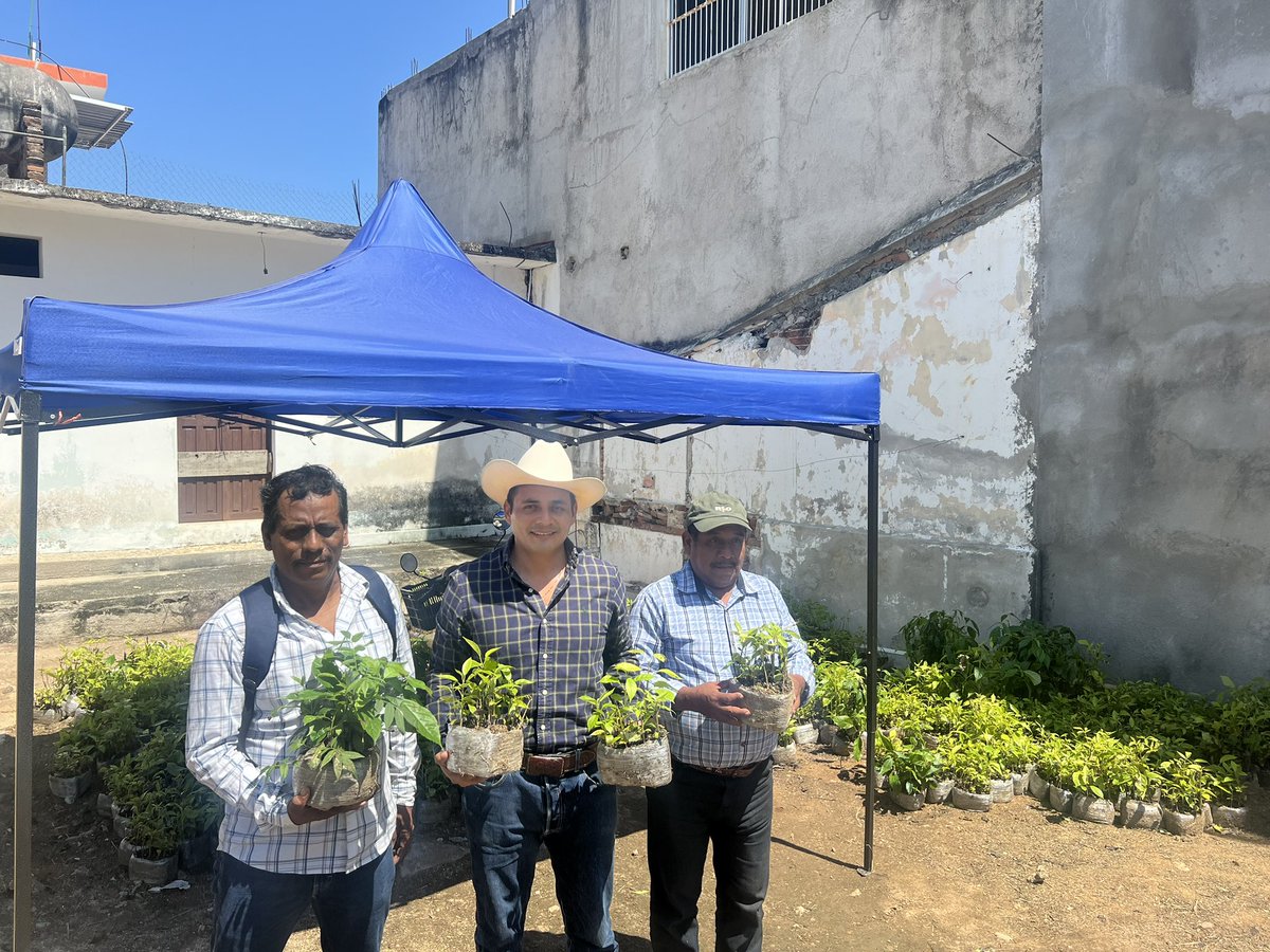 Gracias al apoyo del <a href="/GobOax/">Gobierno de Oaxaca</a> de la <a href="/COESFO_GobOax/">Comisión Estatal Forestal</a> y la <a href="/SEFADER_GobOax/">SEFADER Oaxaca</a>  entregamos más de 10 mil árboles maderables, a las asociaciones ganaderas de la Costa de Oaxaca.
Estamos siempre comprometidos con el
Cuidado y conservación del medio ambiente. <a href="/JulioBerdegue/">Julio Berdegué</a>