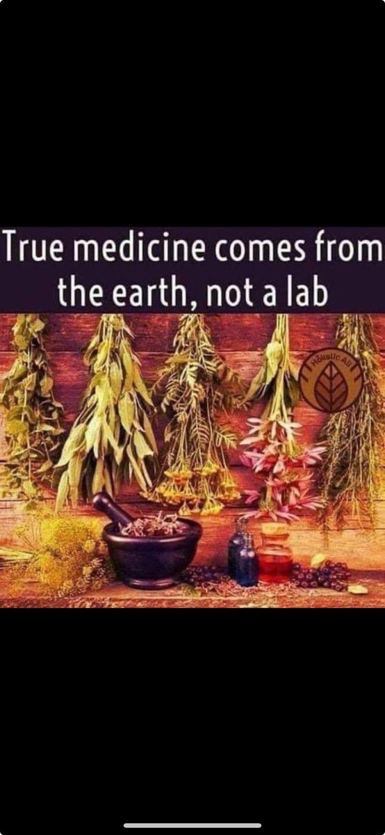 EchoMountain8's tweet photo. Your food is your medicine https://t.co/y99fEN6FSq