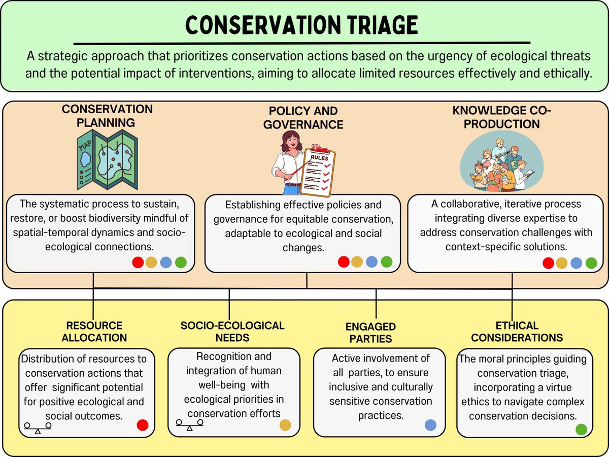 Conservación de Ecosistemas y Bienestar Humano (@cbh_ecosistemas) on Twitter photo 🌿 New Perspective on Conservation Triage🌿
🗺️ Introducing a framework to allocate limited resources by integrating ethical and collaborative decision-making to maximize biodiversity benefits and address socio-ecological needs🏞️ <a href="/JAppliedEcology/">Journal of Applied Ecology</a> <a href="/IEBChile/">Instituto de Ecología y Biodiversidad - IEB</a> <a href="/MilenioSecos/">Instituto Milenio SECOS</a> 🌿 New Perspective on Conservation Triage🌿
🗺️ Introducing a framework to allocate limited resources by integrating ethical and collaborative decision-making to maximize biodiversity benefits and address socio-ecological needs🏞️ <a href="/JAppliedEcology/">Journal of Applied Ecology</a> <a href="/IEBChile/">Instituto de Ecología y Biodiversidad - IEB</a> <a href="/MilenioSecos/">Instituto Milenio SECOS</a>