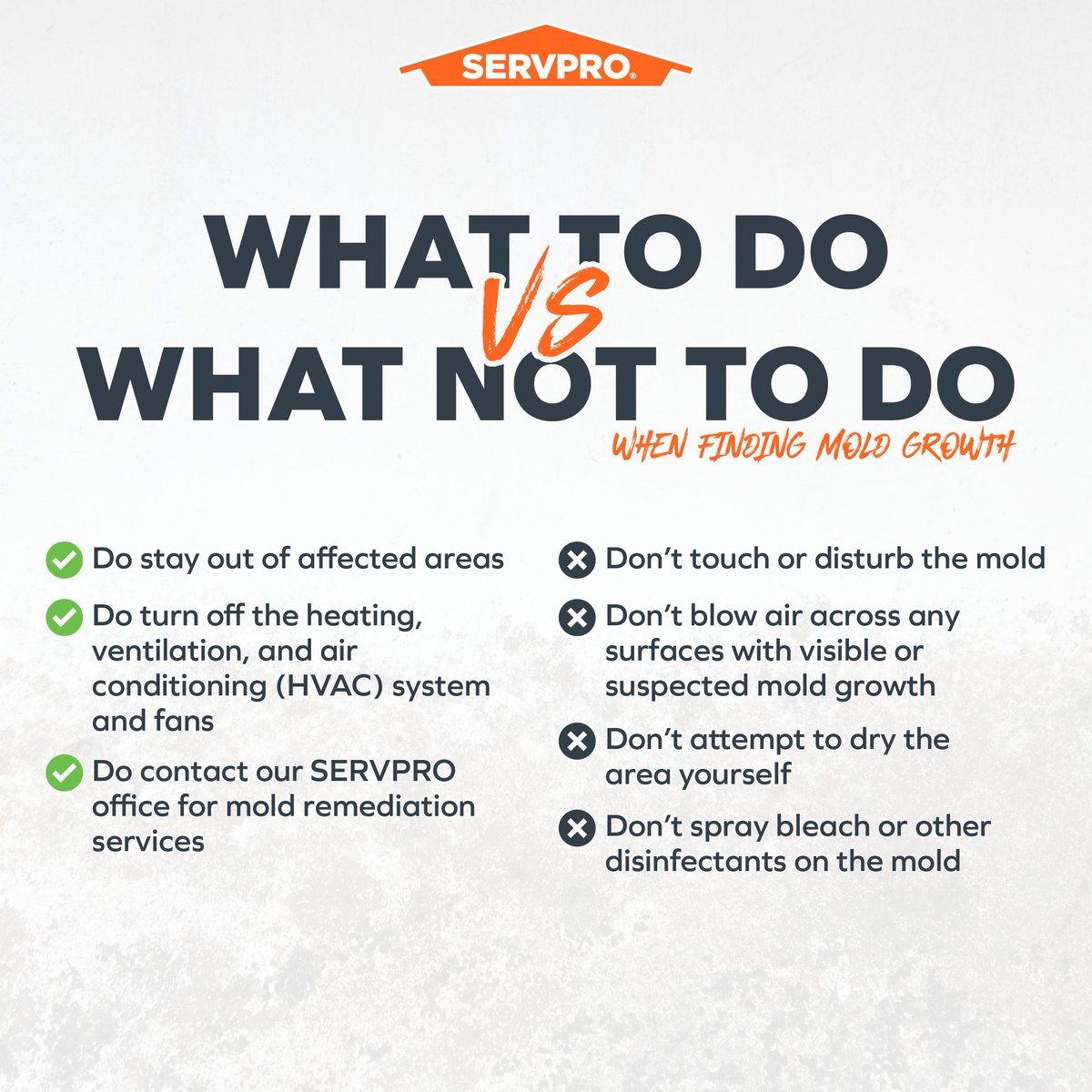 If you've found significant microbial growth, here are some mold damage emergency tips for things you can and should not do while waiting for professional help to arrive: