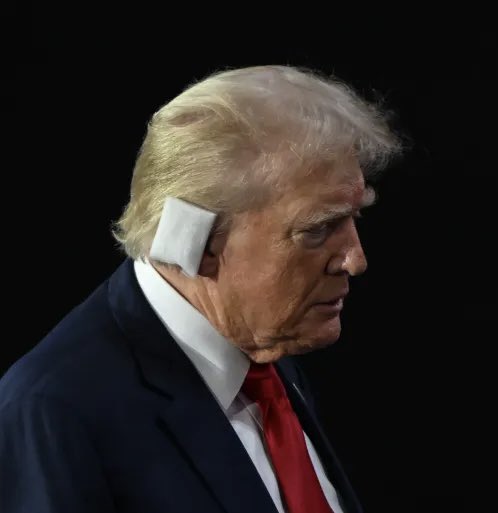 HotMoozik's tweet image. Even a scratched ear in a tourniquet couldn't draw as many eyes to the Republican convention as the Democratic one is getting. 

#MAGAIsCollapsing 
#VoteBlue 
#VoteKamala
#Kamala