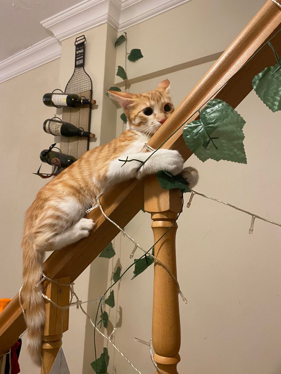 bu sıcakta daima mood