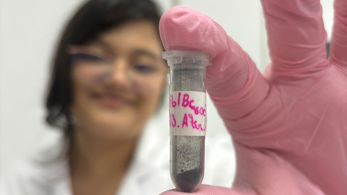 DiarioSE_'s tweet photo. Sensores de biocarvão podem detectar pesticidas em amostras de alimentos https://t.co/FHPUfq96rM https://t.co/SQJbhjD2XH