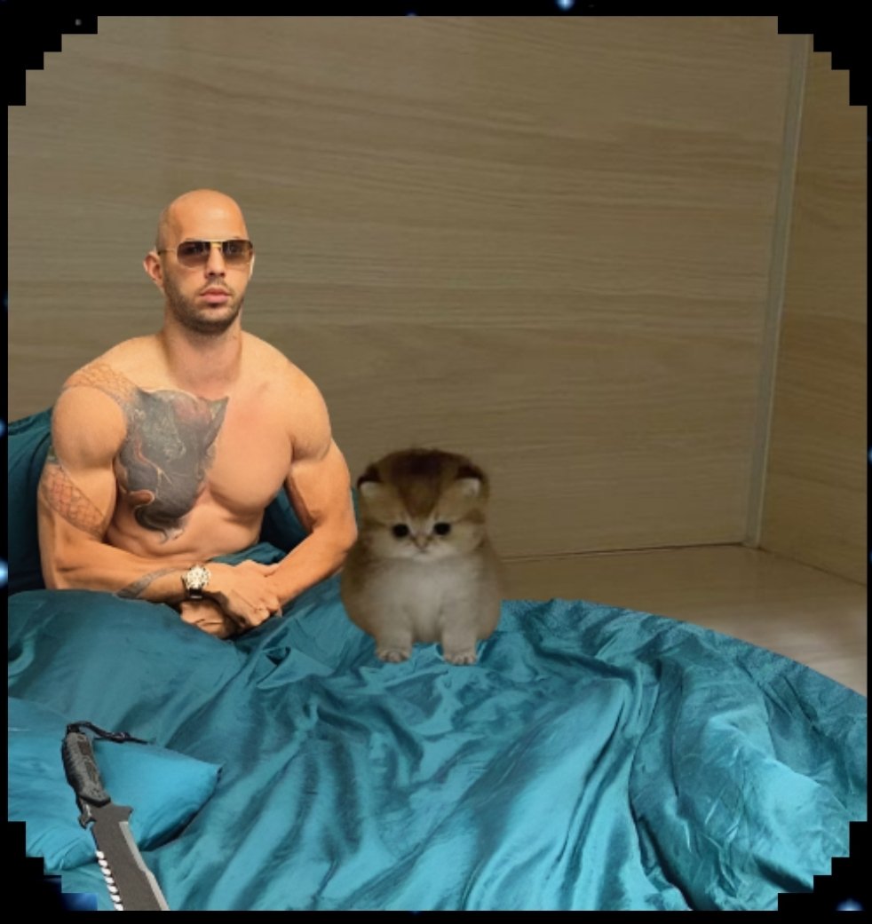 <a href="/a1lon9/">alon</a> <a href="/Cobratate/">Andrew Tate</a> is $in prison
And <a href="/CatInRoomOnSol/">Cat In Room</a> been $in pump jail for 4 days

Both shall be set free and soar again