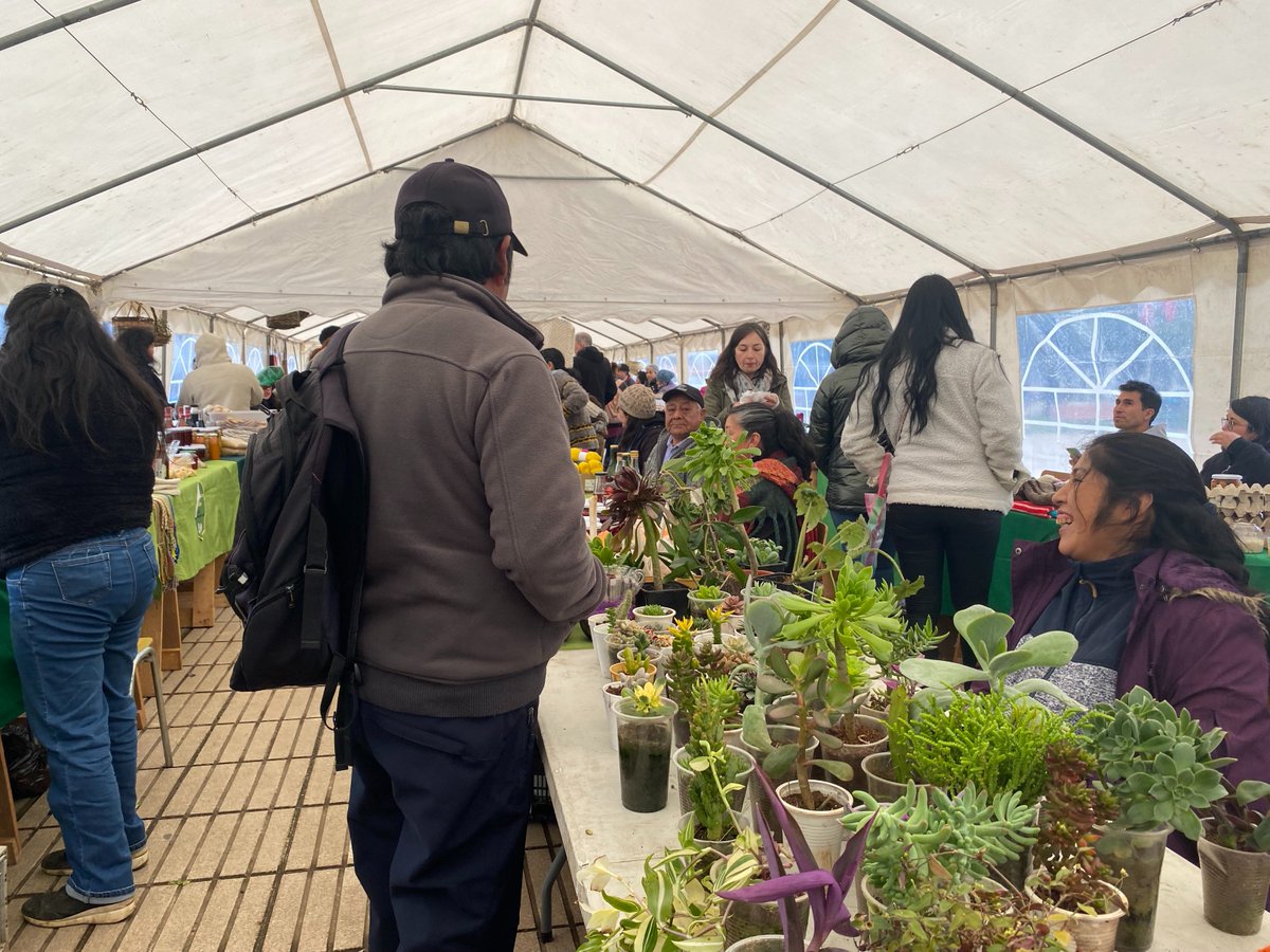 Este jueves y viernes en Plaza de Armas de #Osorno, se realiza la Feria Mapuche Huilliche de Invierno, donde usuarios del Programa de Desarrollo Territorial Indígena exponen diversos productos.

👉radiovozdelacosta.cl/?p=9063