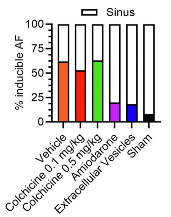 davis_ctrl's tweet image. Human extracellular vesicles reduce the probability of going into atrial fibrillation (AF) in a rat model of pericarditis compared to treatment with a placebo (veh) or an anti-inflammatory (colchicine). 🔗doi.org/10.1016/j.jace…