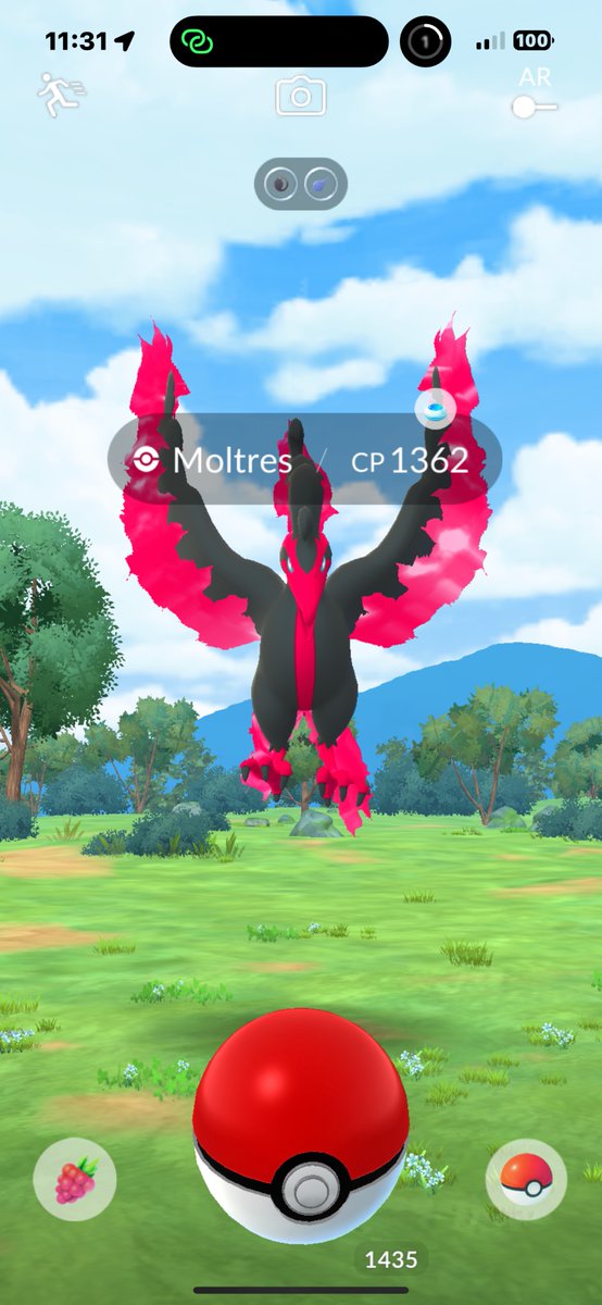 TamedTh's tweet photo. The pain no one should experience @PokemonGoApp #PokemonGO https://t.co/6vjkZCSgjB