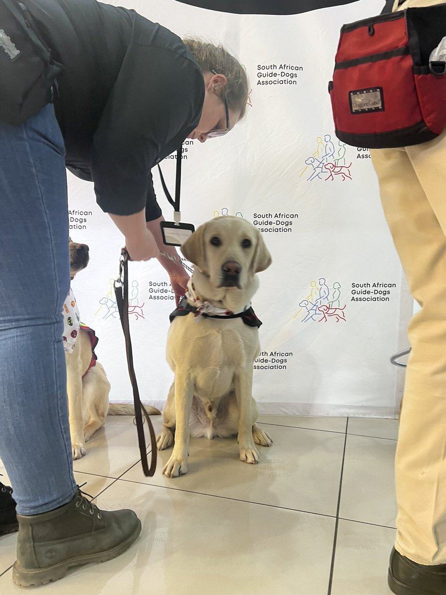 EllaBellaLeite's tweet image. Congratulations on the launch of the @SAGuide_Dogs #WearYourShadesDay for 18 October ! Proud to be part of this launch for #ShadesDay 😎💚✨🐶😎 Get your R20 ticket, wear your shades, support this amazing organization empowering people with visual impairment ❤️ @missearth_sa