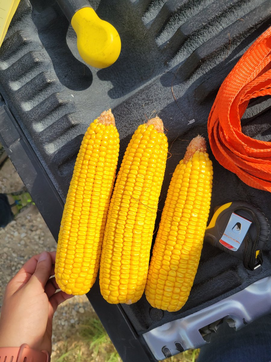 KristiGoedken12's tweet photo. Stops in districts 3 qnd 6 in NE Iowa. Avg from stops id 214.7
#PFTour24 https://t.co/kodDC6pvGu