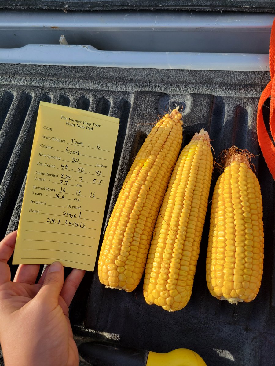 KristiGoedken12's tweet photo. Stops in districts 3 qnd 6 in NE Iowa. Avg from stops id 214.7
#PFTour24 https://t.co/kodDC6pvGu