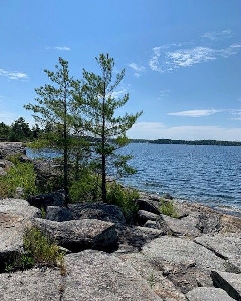 The Lakelands region has stunning views at every turn! 🌲🌊

Thank you to Lakelands Association member Michelle Lacroix, REALTOR® at Royal LePage In Touch Realty Inc., for sharing this beautiful view of the Outer Harbour at Parry Sound.

#HireALocalRealtor #parrysound