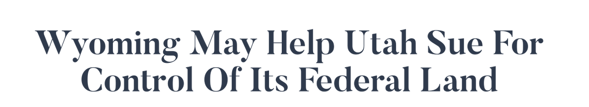 Kylie Mohr tweet media