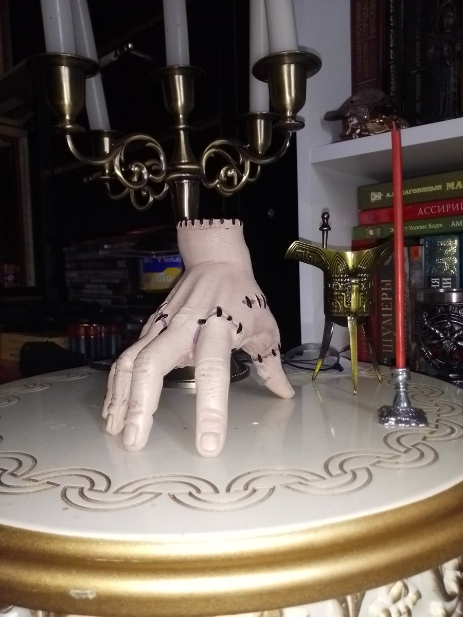 Вот, поймал животное ночью под кроватью! Зверёк вроде ласковый и умный, без очков только не разберу породу 🤓 Кто профи, как чё, чем его кормить?