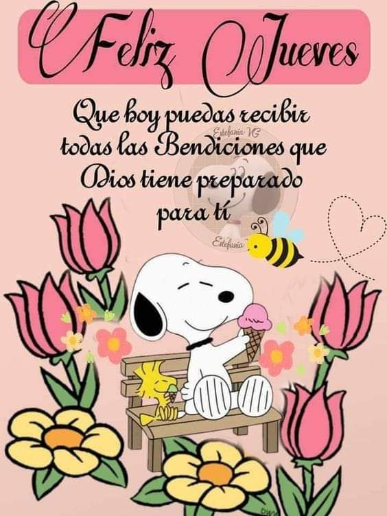 ErikaDafes's tweet photo. @PadreJosedeJes Amén 🙏 Bonito día Padre ✨ https://t.co/LyLeVlxHSm