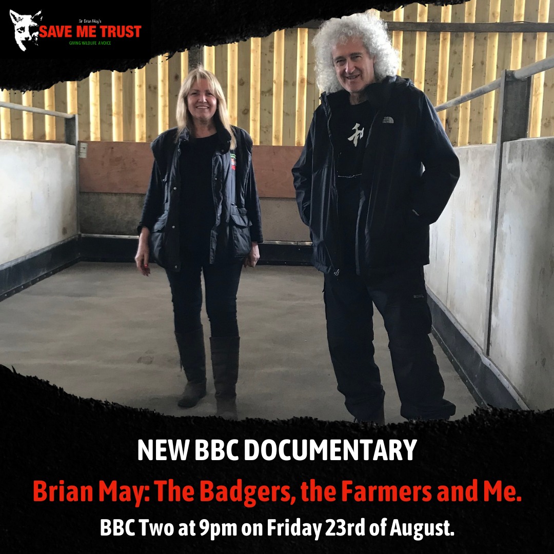 YvesdeContades's tweet photo. Superb evening with Brian May of Queen & Anne Brummer @brianmayforreal for private screening of their brilliant film out tomorrow on BBC2 9PM Friday 23 Aug. @savemetrust #brianmay #savemetrust #savebadgers #badgercull #tbfree https://t.co/lpURWF56wg